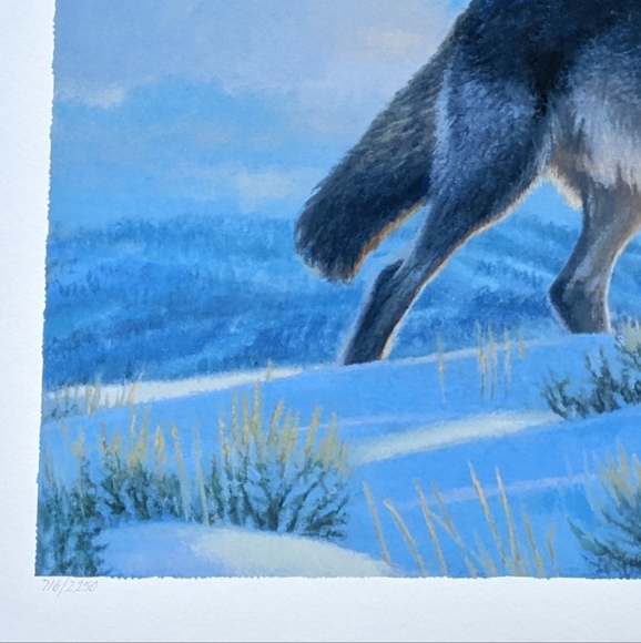 Wild & Wary Giclee in Color on Paper Hand Signed by Artist Pat McManus with COA - Picture 2 of 5